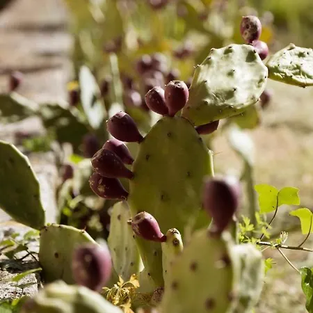 I Trulli Di Kate فيلة *