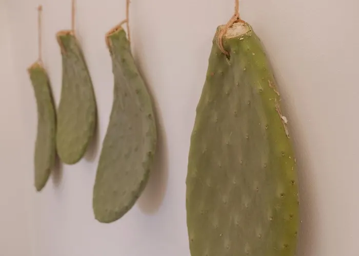 וילה I Trulli Di Kate מונופולי